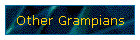 Other Grampians