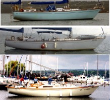 Comparison of Tatiana W.